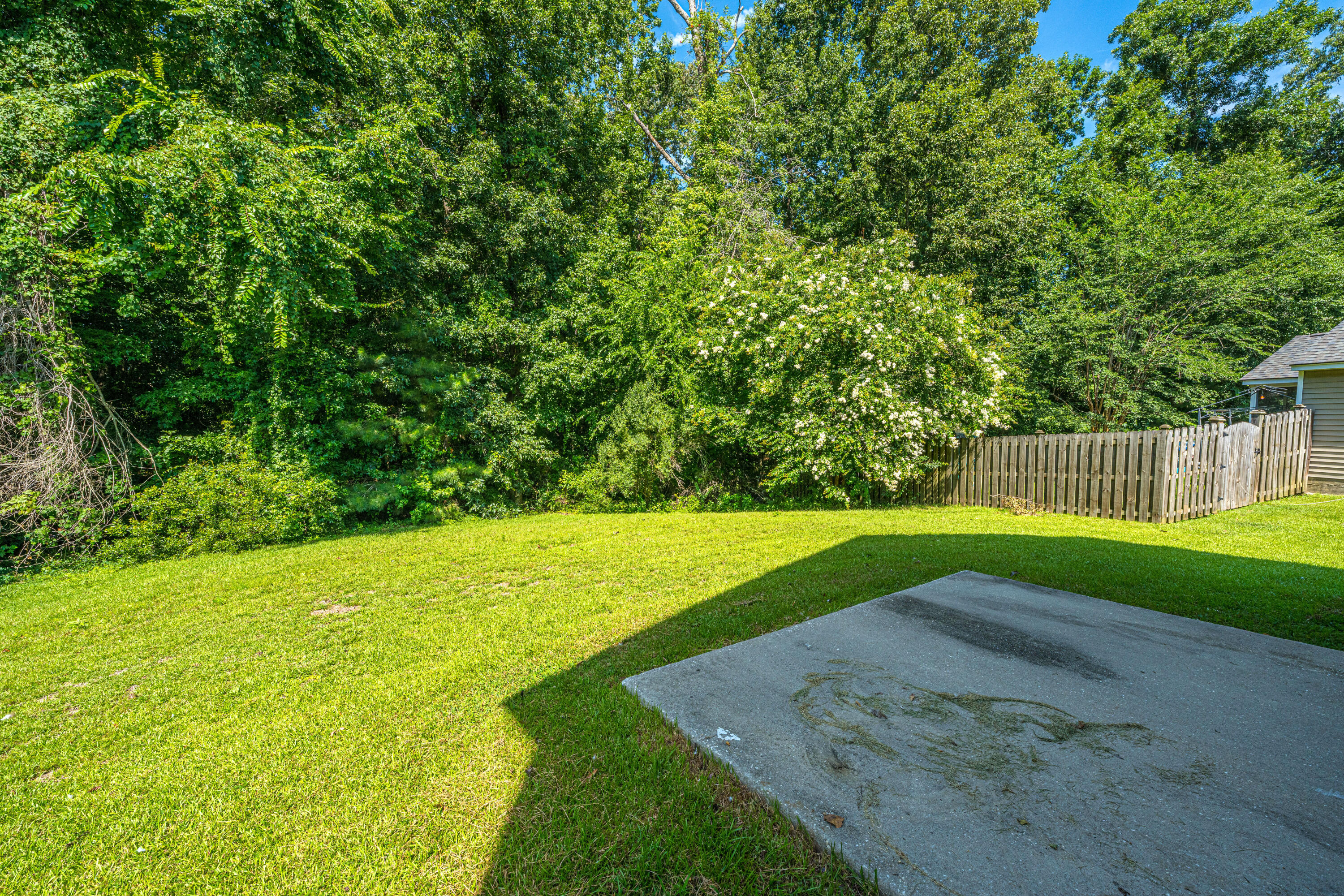 142 Avalon Road Summerville, SC 29483 - Photo 28 of 31 142Avalon037