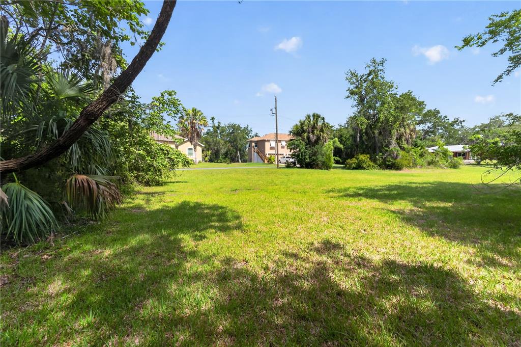 4540 South Sawgrass Circle Homosassa, FL 34448 - Photo 8 of 22 a view of a field with a tree