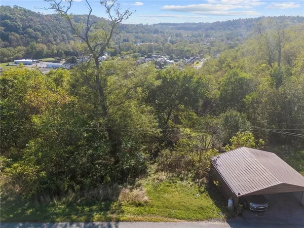 a view of a yard from a outdoor