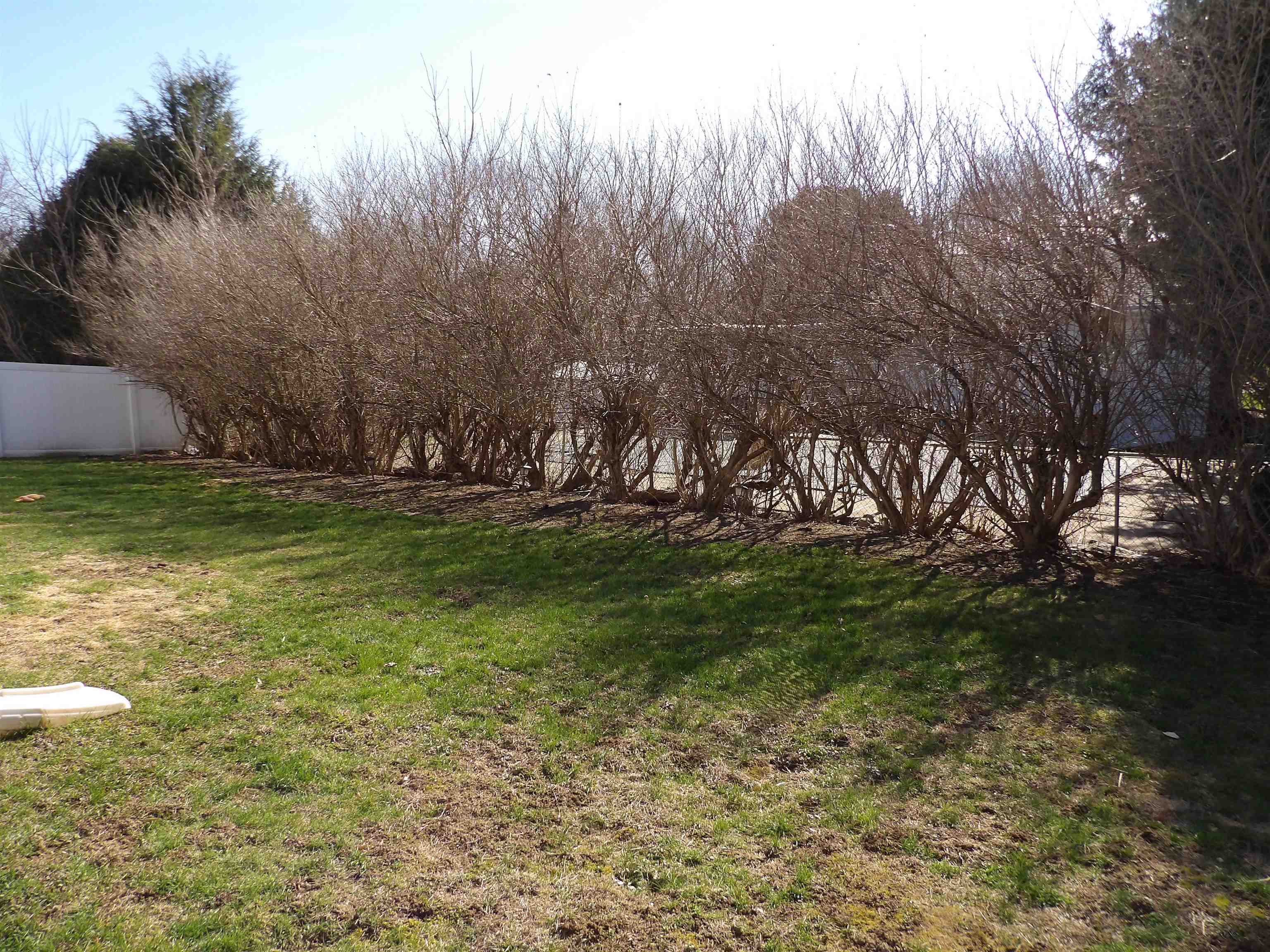 9 Harvard Street Rutland, VT 05701 - Photo 6 of 40