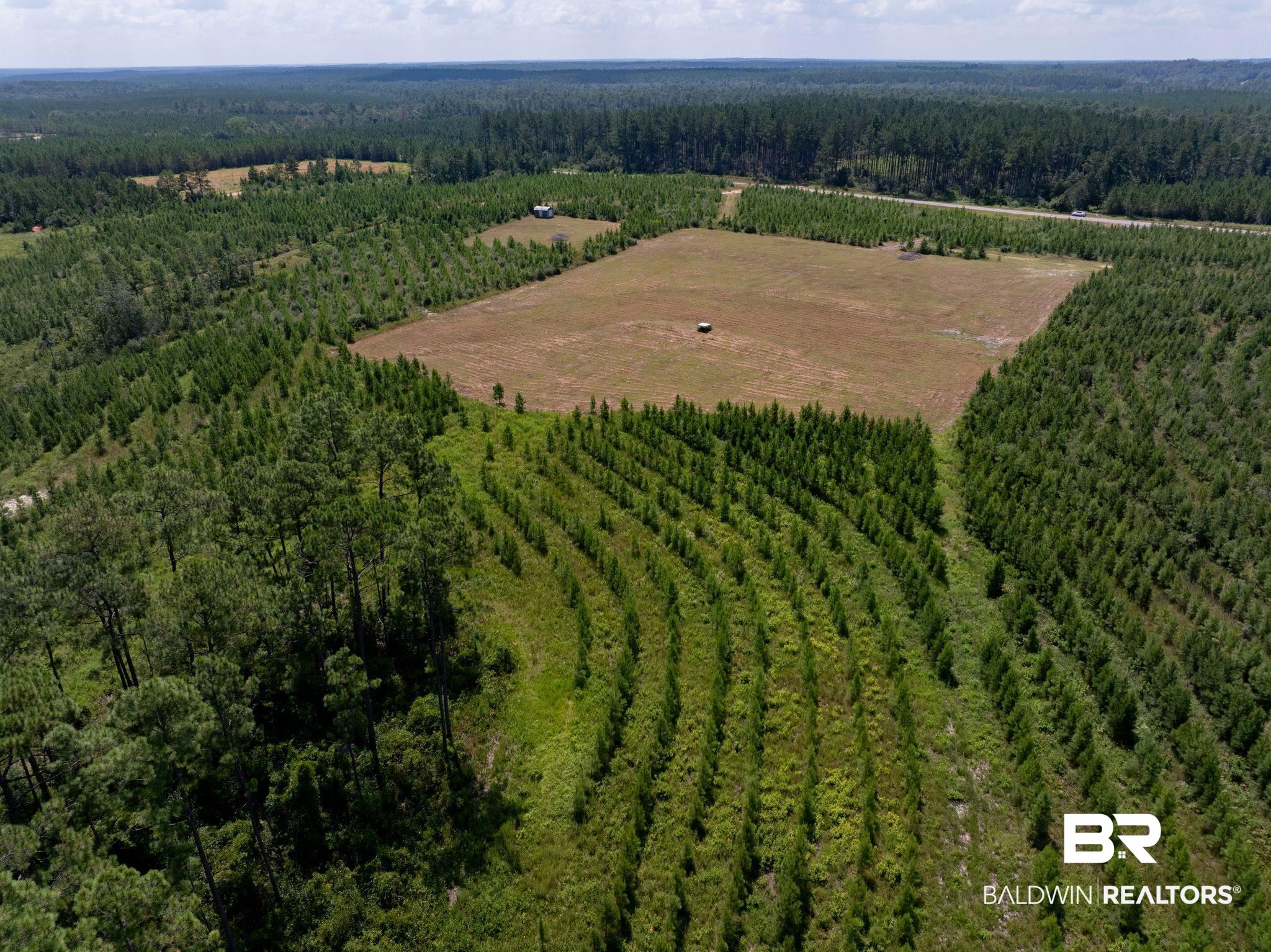 18813 Horseneck Road Bay Minette, AL 36507 - Photo 5 of 16 Aerial view with a rural view