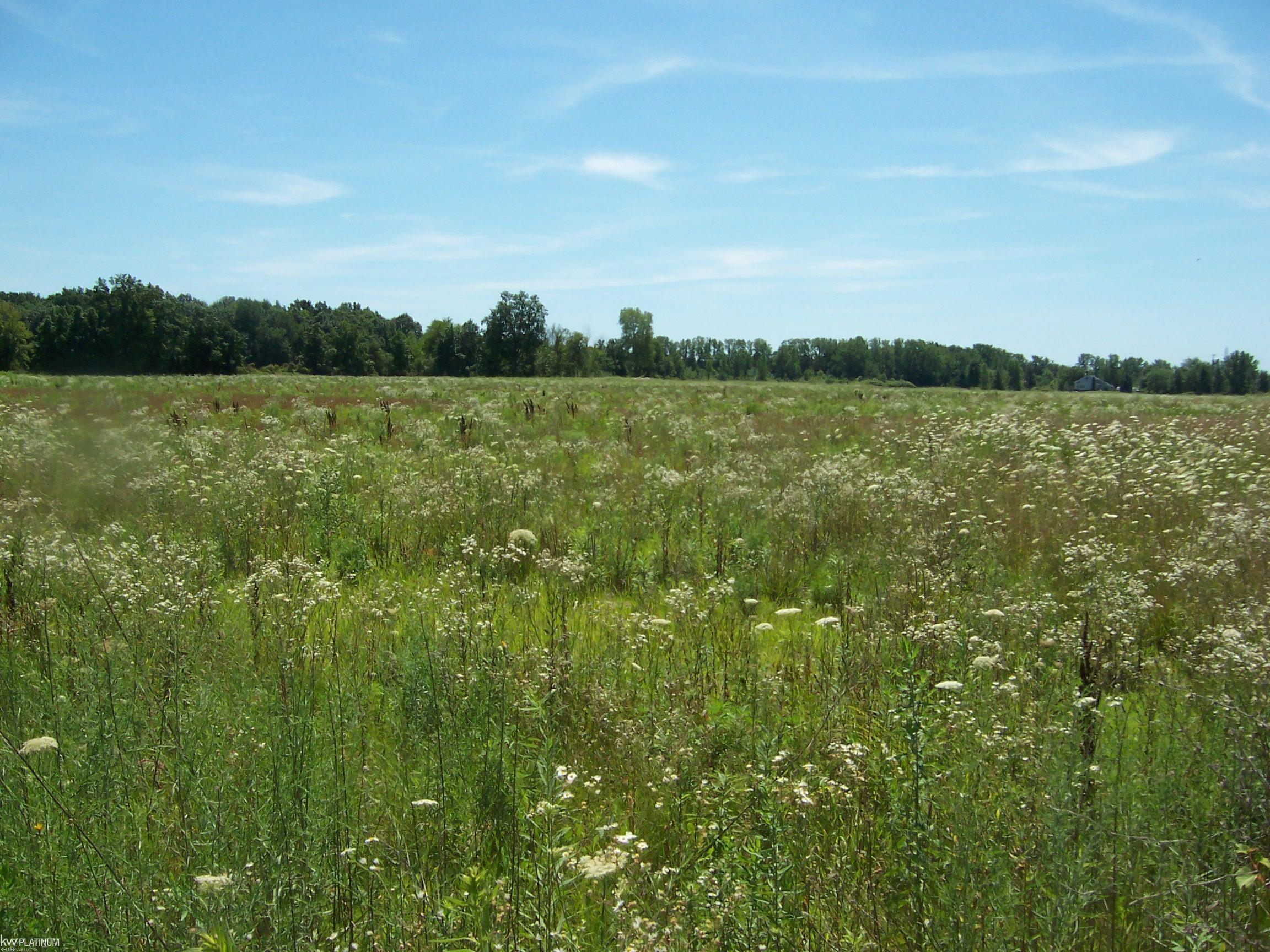 Lot A Masters Road Memphis, MI 48041 - Photo 2 of 2