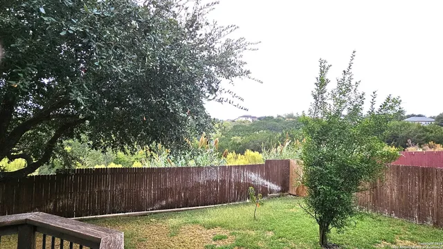 a view of a backyard with a tree and wooden fence