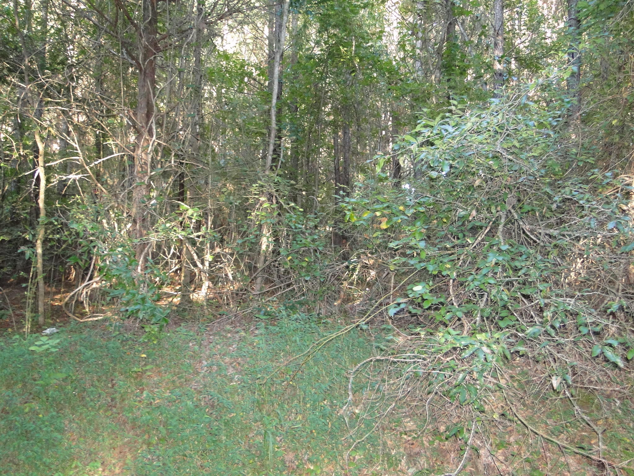 30 W/ Decatur, TN 37322 - Photo 1 of 1 001