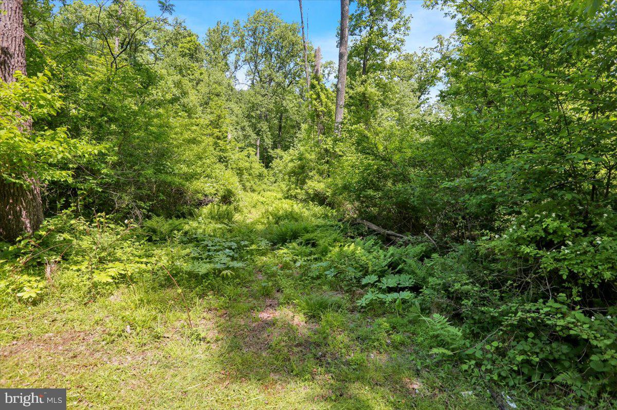 0 Huffs Church Road Barto, PA 19504 - Photo 4 of 8