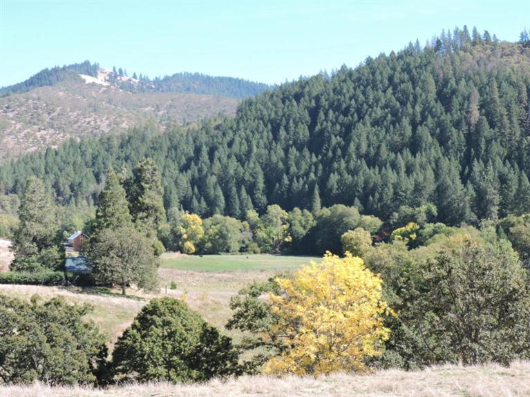 7370 Little Applegate Road Jacksonville, OR 97530 - Photo 5 of 35 Additional Photo