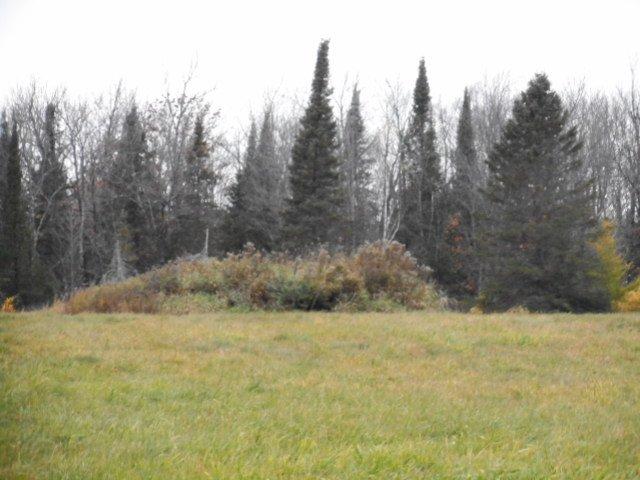On Little Creek Road Brantwood, WI 54513 - Photo 3 of 8 Gallery Image 3