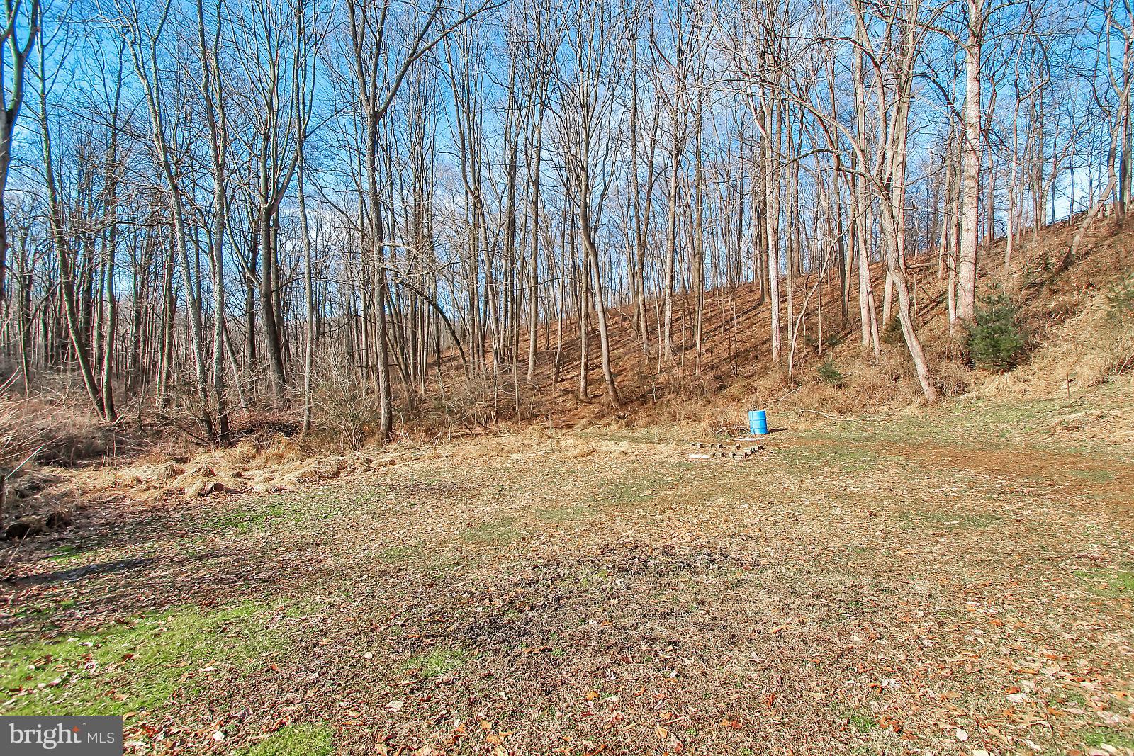 212 Wiley Mill Road New Park, PA 17352 - Photo 23 of 26 Area for Large Garden or Pasture