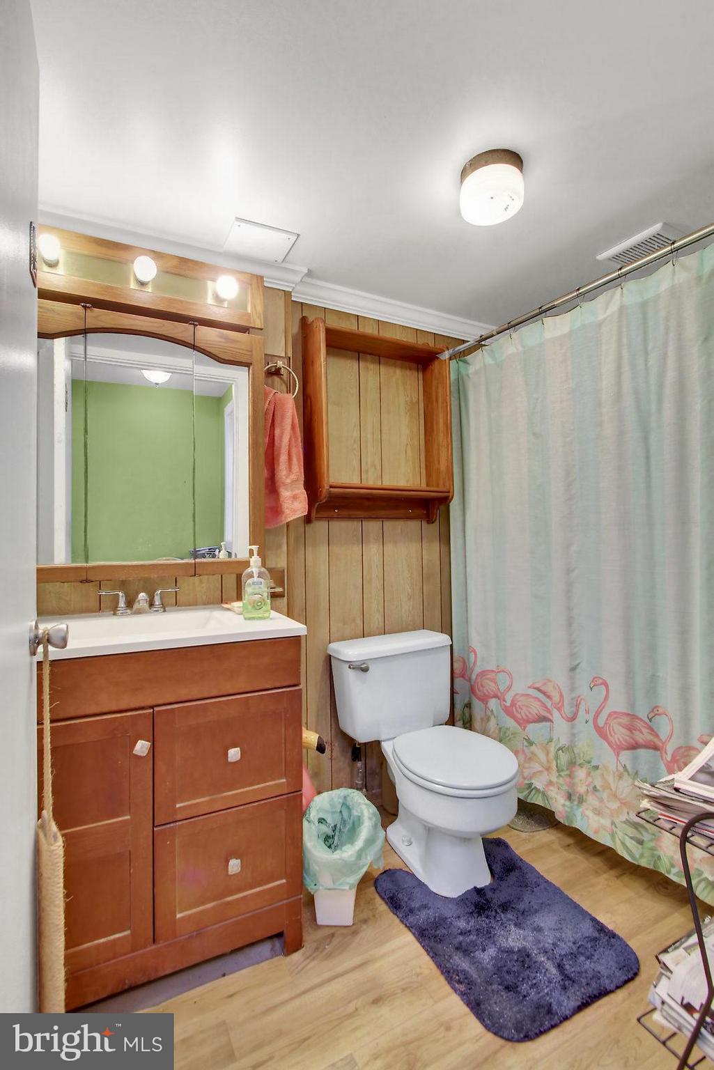 212 Wiley Mill Road New Park, PA 17352 - Photo 10 of 26 1st Floor Full Bath