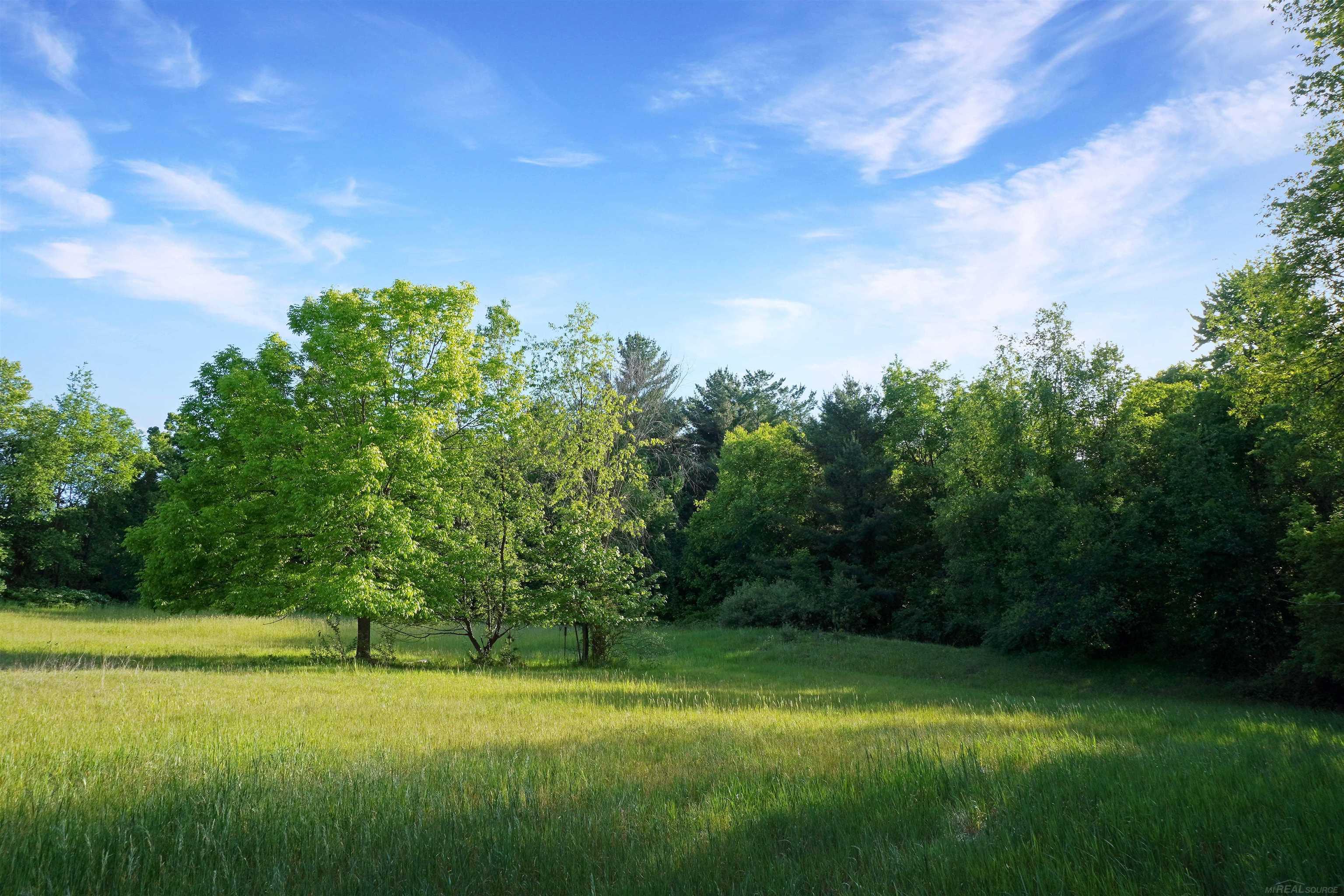 1385 North Blacks Corners Road Imlay City, MI 48444 - Photo 25 of 57