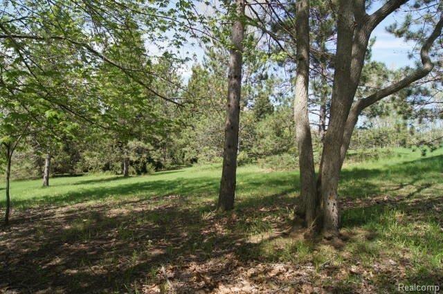 2797 Flint River Road Lapeer, MI 48446 - Photo 12 of 27 DSC04194.jpg