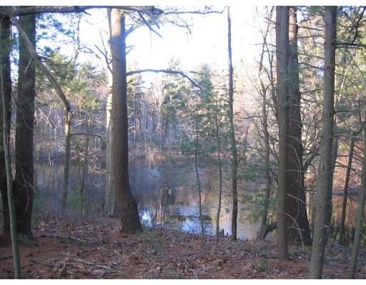1080 North Street Walpole, MA 02081 - Photo 20 of 20 a view of a forest filled with trees