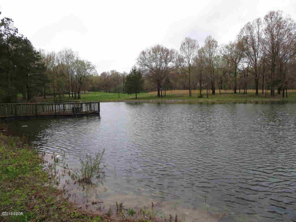 3186 Herrin Road Carterville, IL 62918 - Photo 36 of 50 Gallery Image 36