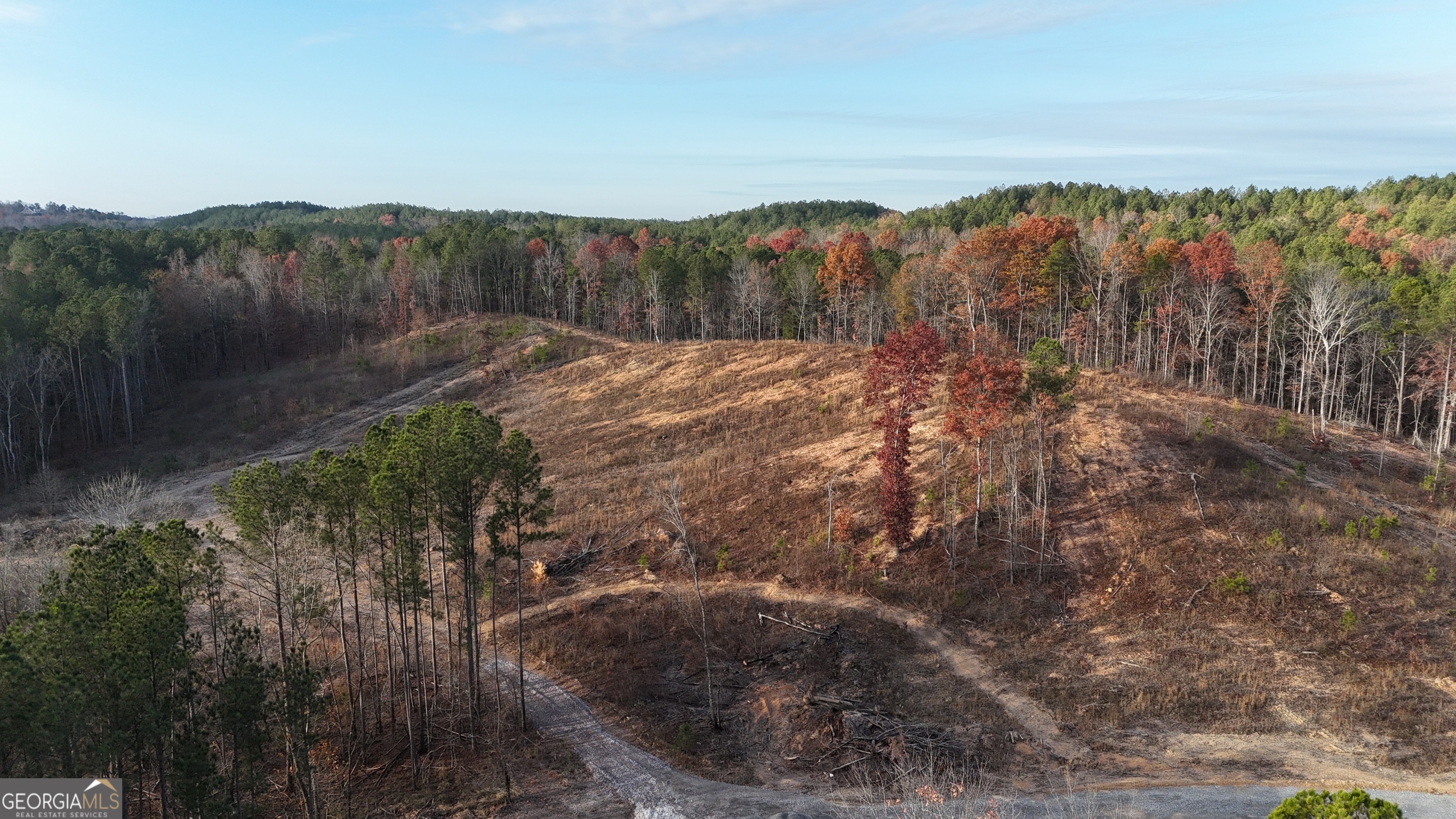 0 South Hwy 411 Chatsworth, GA 30705 - Photo 13 of 27