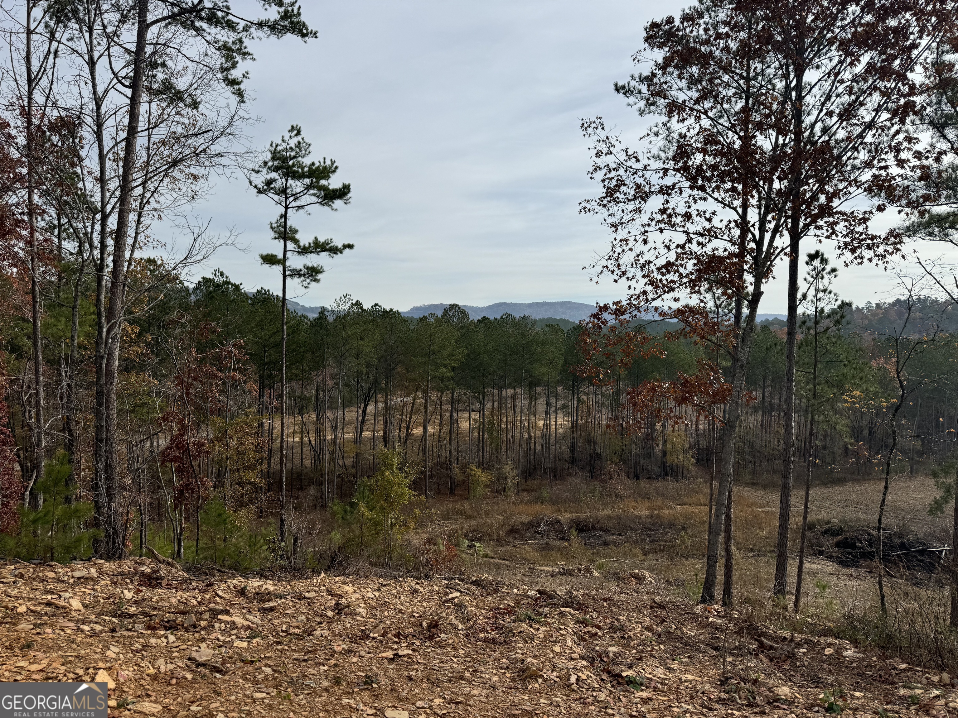 0 South Hwy 411 Chatsworth, GA 30705 - Photo 15 of 27