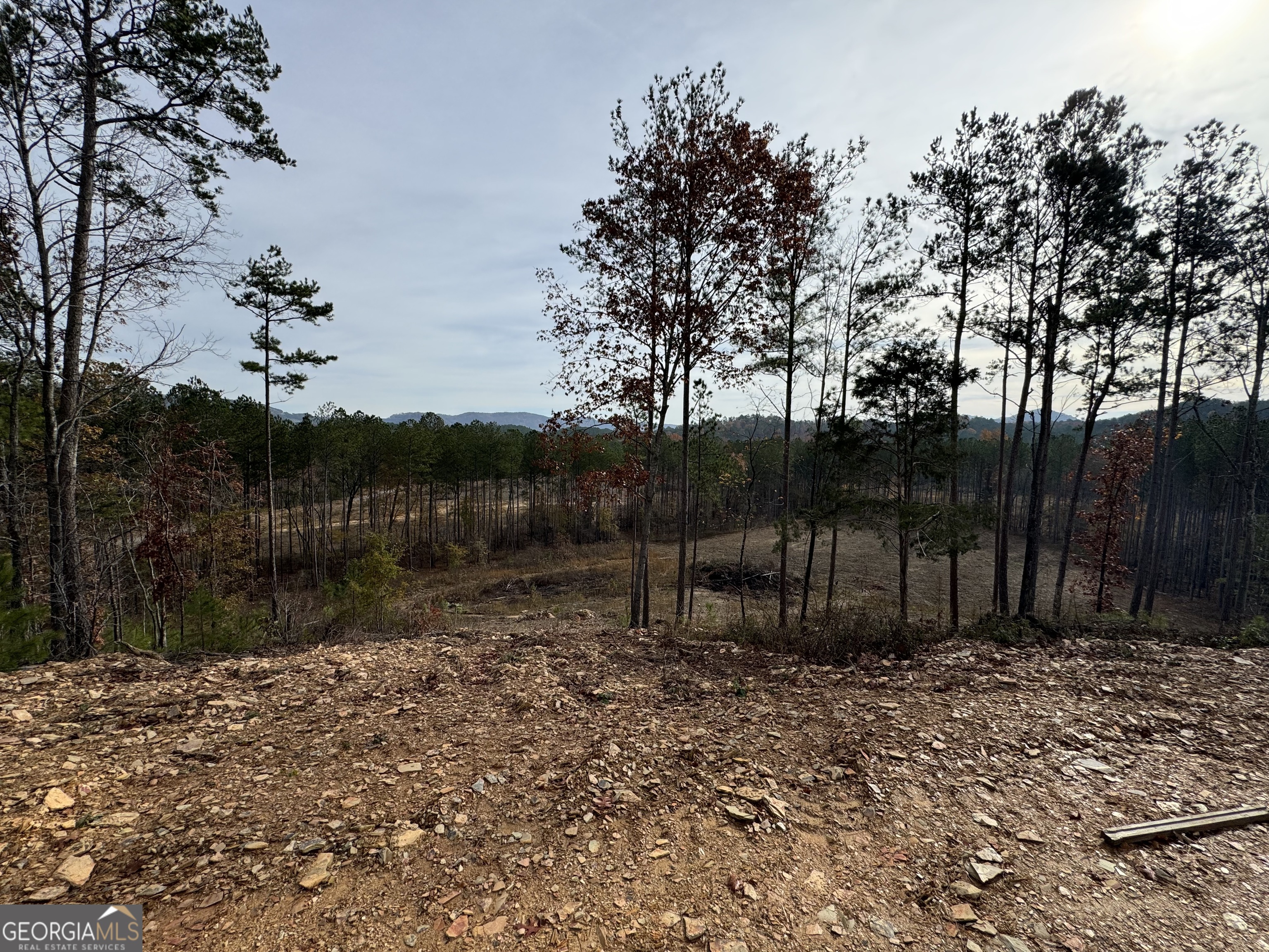 0 South Hwy 411 Chatsworth, GA 30705 - Photo 16 of 27