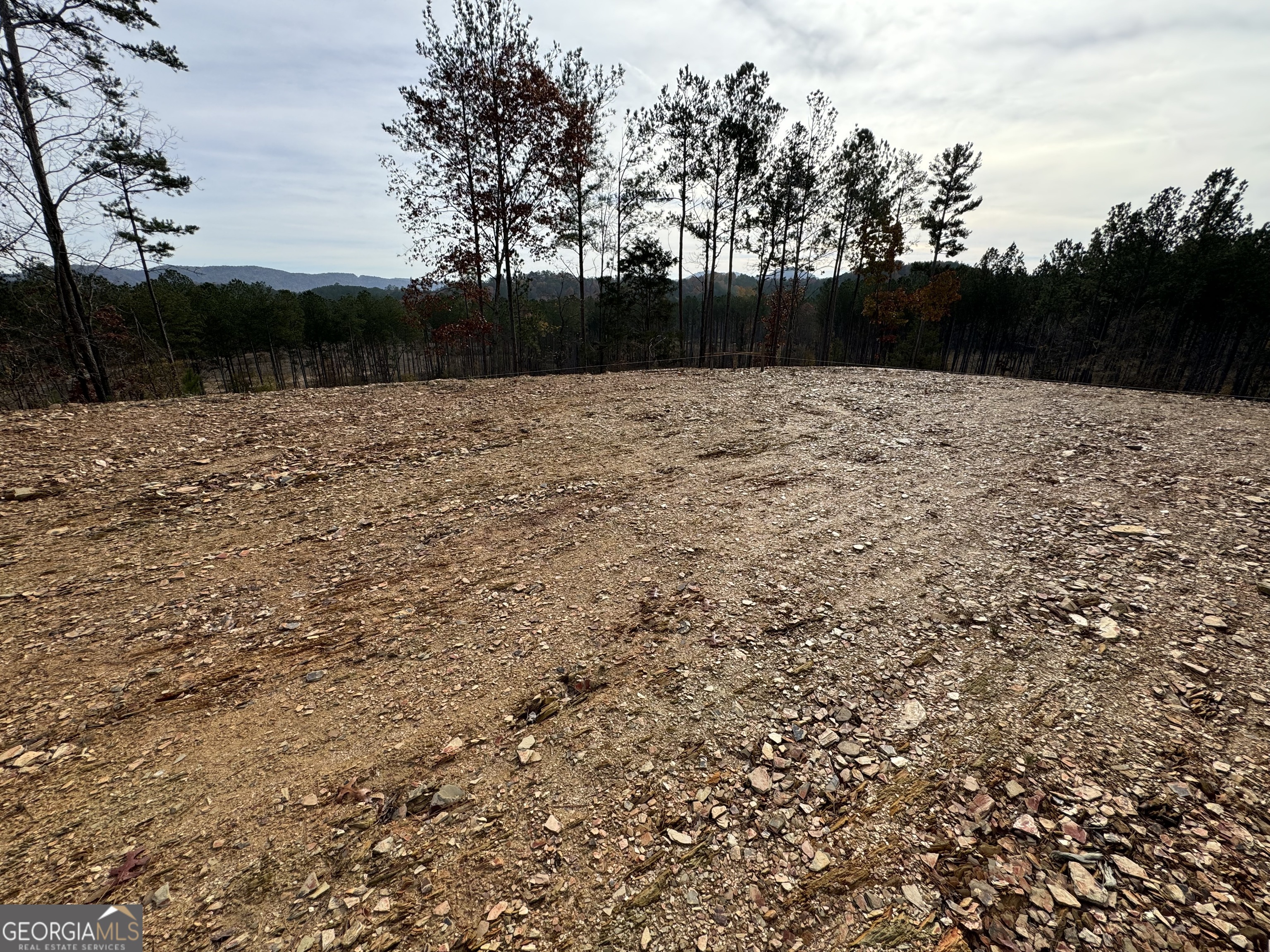 0 South Hwy 411 Chatsworth, GA 30705 - Photo 17 of 27