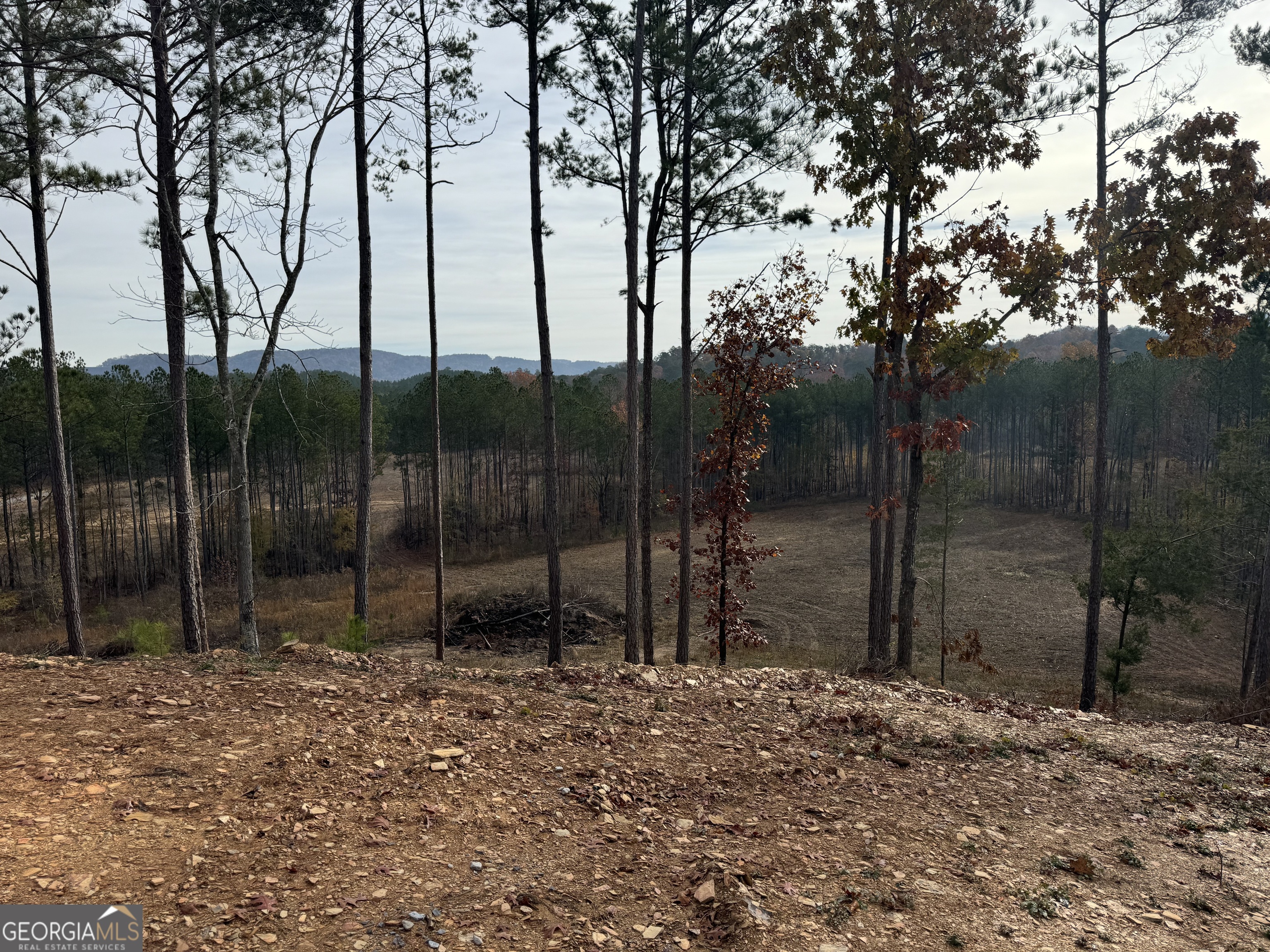 0 South Hwy 411 Chatsworth, GA 30705 - Photo 18 of 27