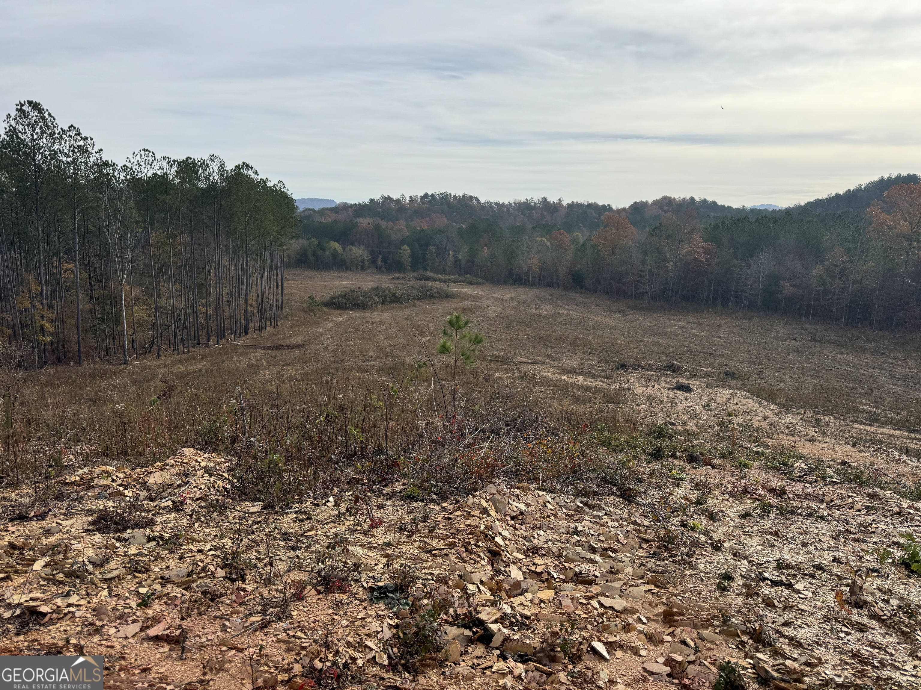 0 South Hwy 411 Chatsworth, GA 30705 - Photo 20 of 27