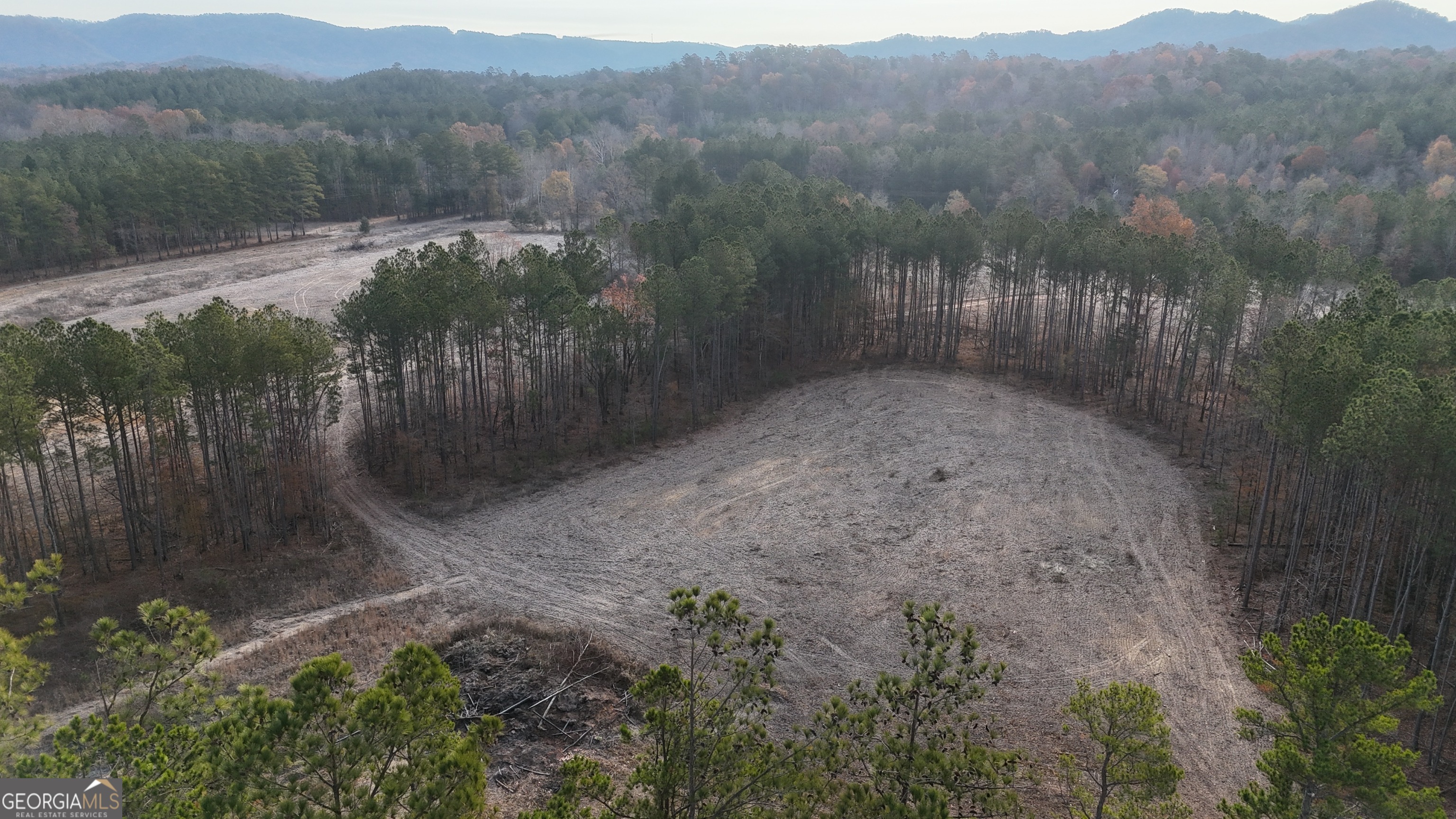 0 South Hwy 411 Chatsworth, GA 30705 - Photo 10 of 27