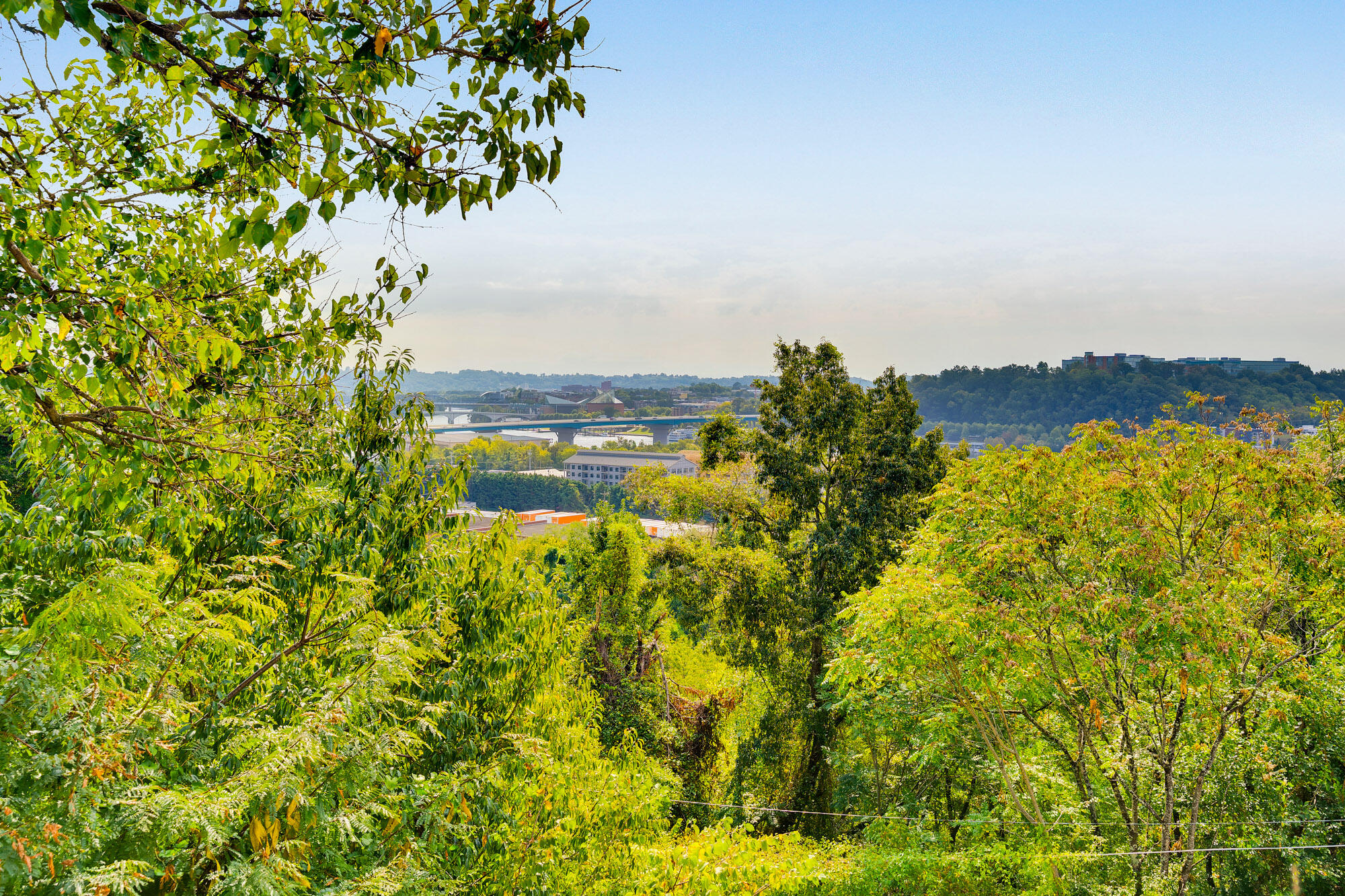 232 Vantage Point, Unit 2 Chattanooga, TN 37405 - Photo 13 of 13 232-Vantage-Pt-MLS-Photos-31