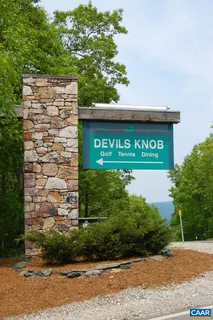 a view of river in middle of forest