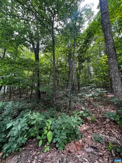 a large yard with lots of green space and trees