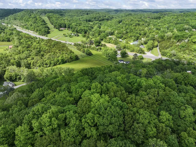 a view of a garden with a tree