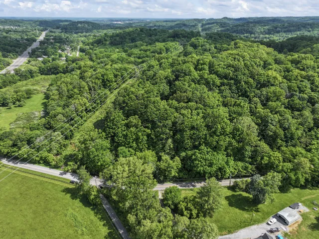 a view of a green field with lots of bushes