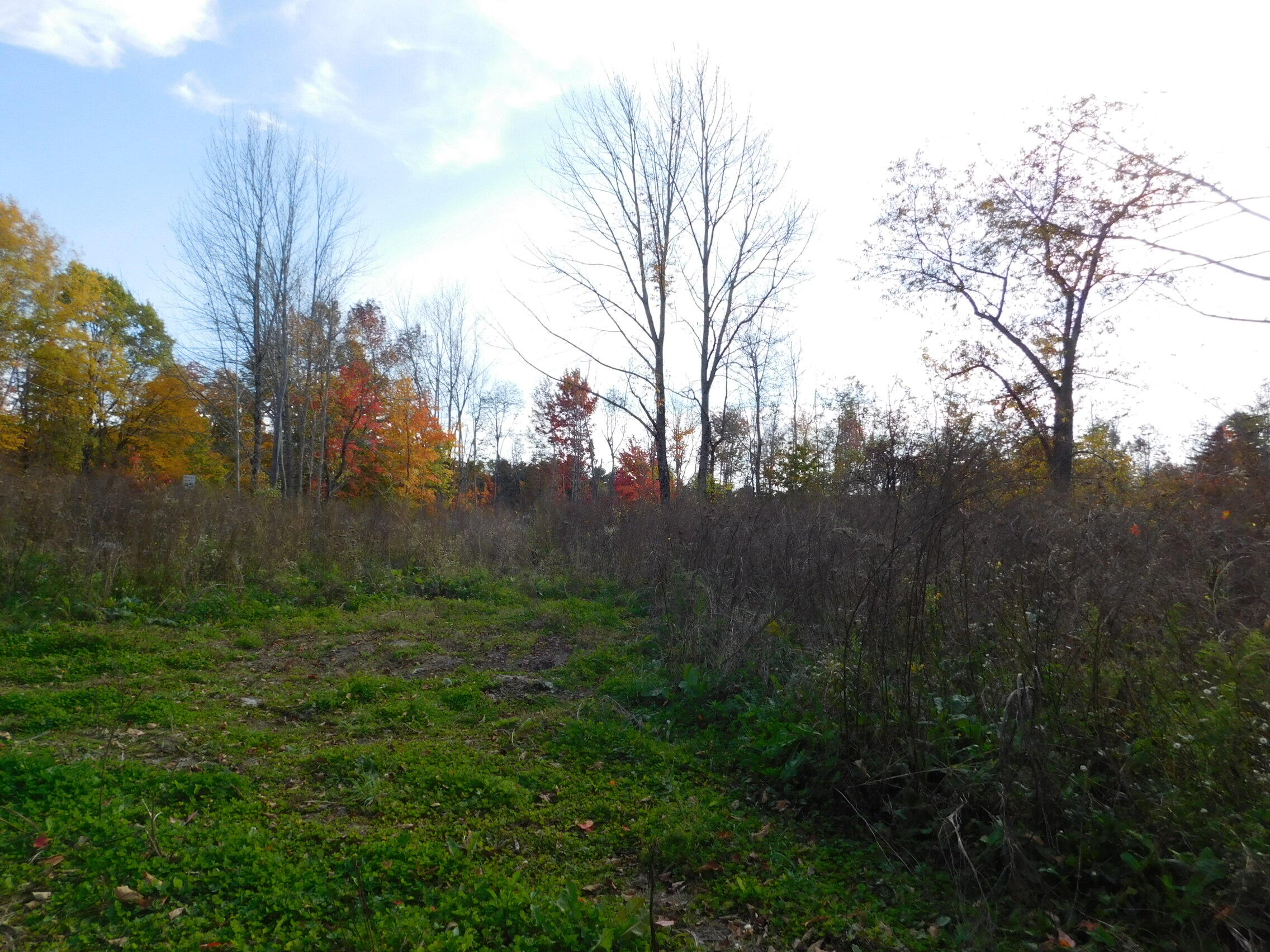 326 Stetson Road Stetson, ME 04488 - Photo 7 of 20 7