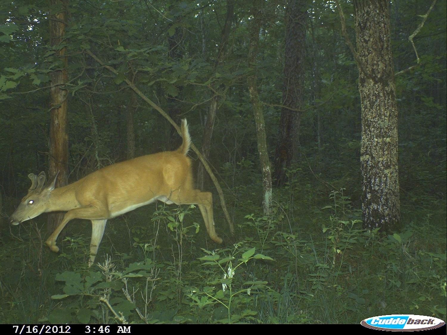 3600 Sandy Ridge Road Campton, KY 41301 - Photo 29 of 30 Photo 29