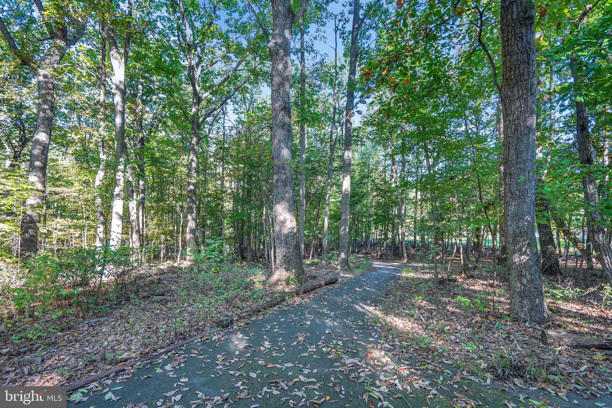 11962 Barrel Cooper Court Reston, VA 20191 - Photo 39 of 41 Gallery Image 39