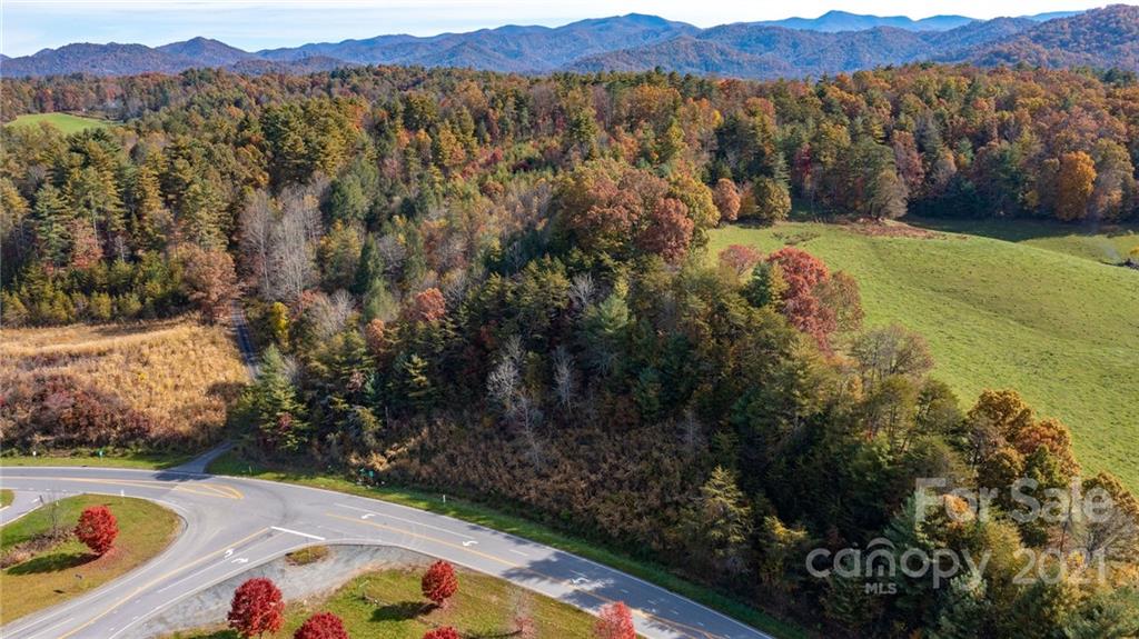 Tbd Calvin Edney Road Mars Hill, NC 28754 - Photo 2 of 9 Gallery Image 2