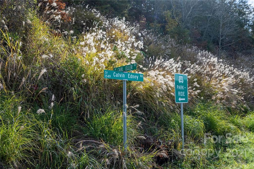 Tbd Calvin Edney Road Mars Hill, NC 28754 - Photo 4 of 9 Gallery Image 4