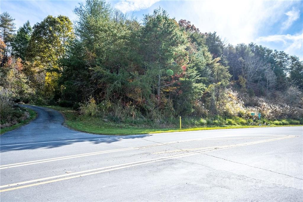 Tbd Calvin Edney Road Mars Hill, NC 28754 - Photo 6 of 9 Gallery Image 6