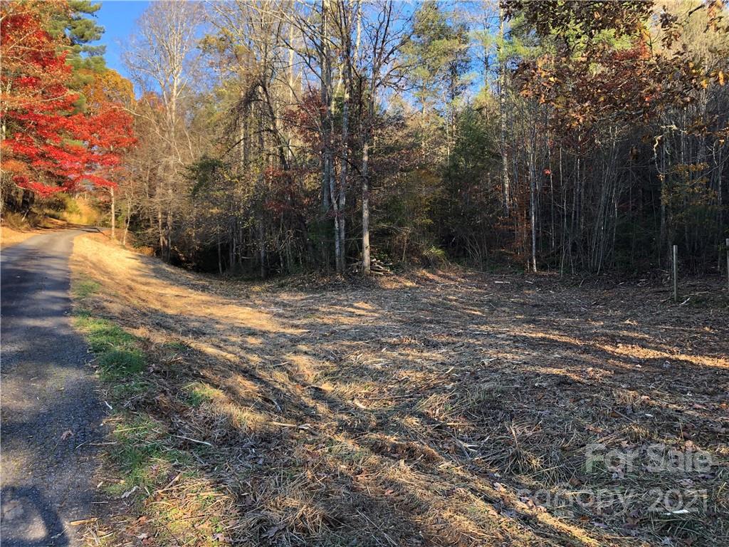 Tbd Calvin Edney Road Mars Hill, NC 28754 - Photo 8 of 9 Gallery Image 8