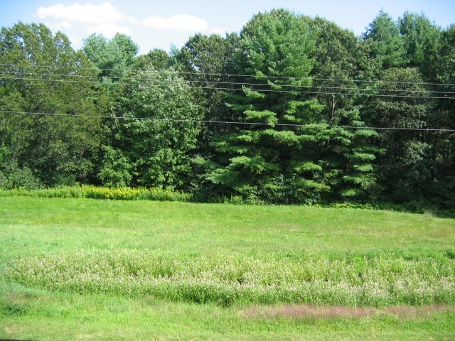 63 Middlesex Road Merrimack, NH 03054 - Photo 14 of 32
