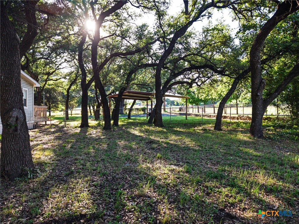 2739 Willow Loop Kempner, TX 76539 - Photo 4 of 30 a view of yard with trees