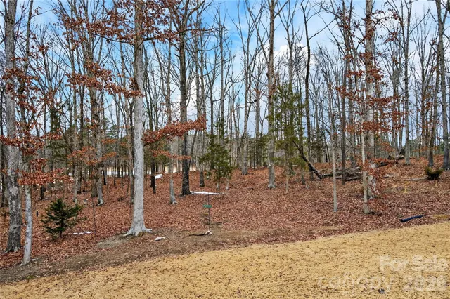 $1,075,000 | 919 Tamary Way, Landis, NC 28088