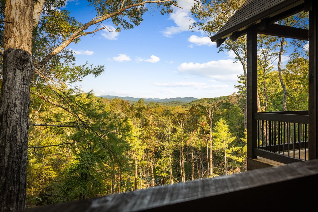 28 Bill Claypool Drive Blue Ridge, GA 30513 - Photo 24 of 60 Gallery Image 24