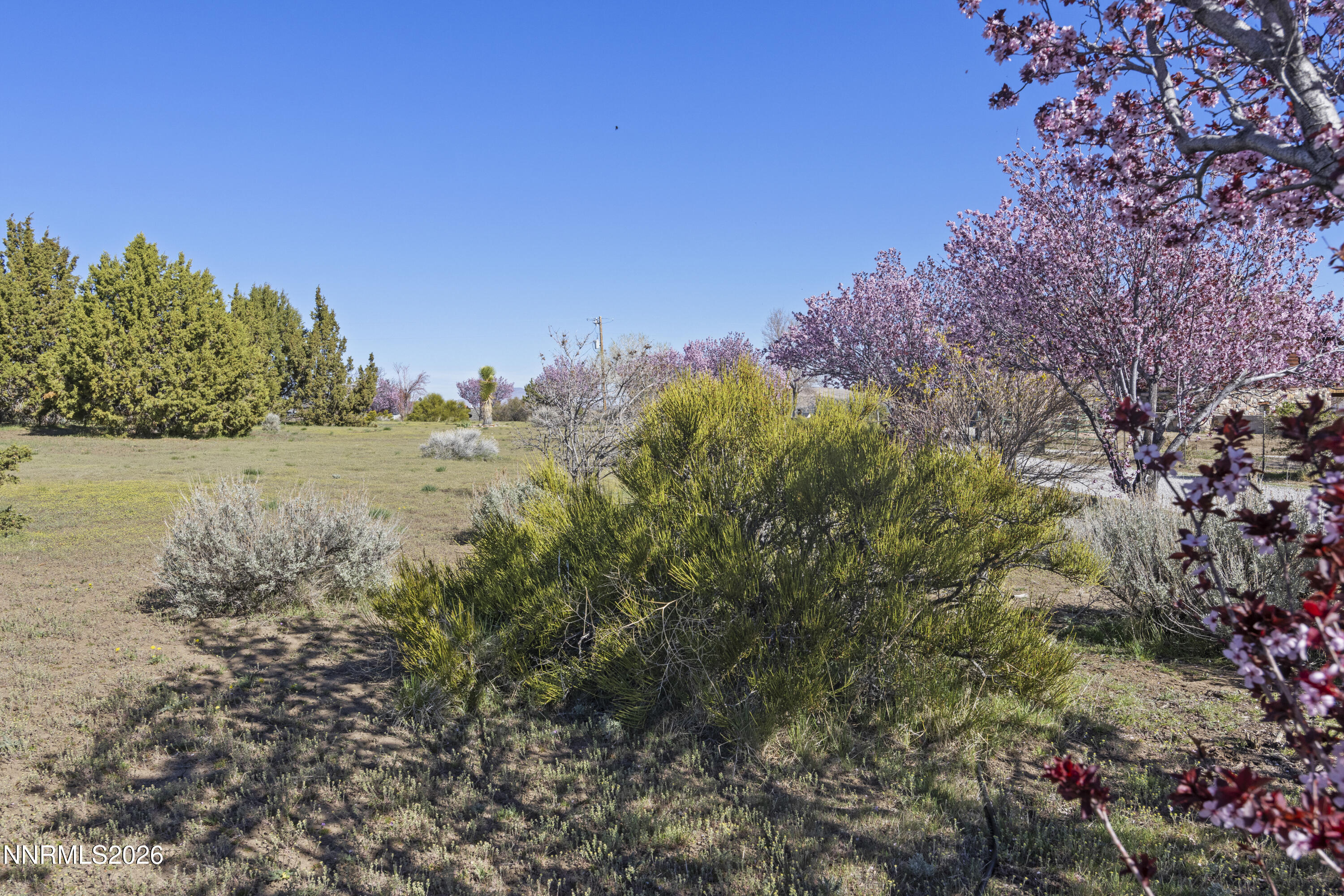 15069 North Red Rock Road Reno, NV 89508 - Photo 40 of 80 _S1A0624