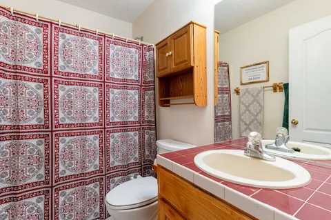 a bathroom with a sink a toilet and shower