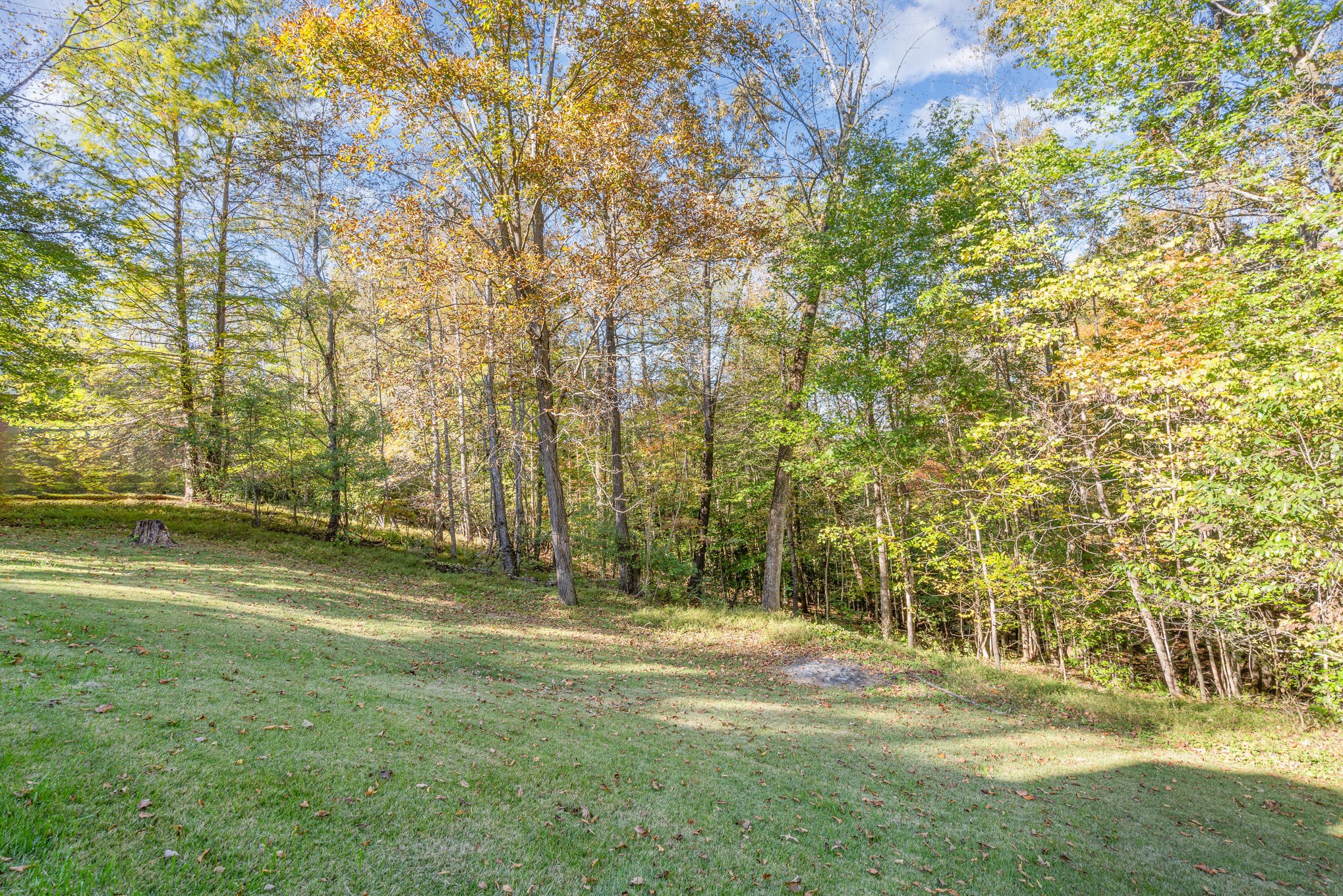 1180 Simms Heights Road Kingston Springs, TN 37082 - Photo 24 of 31 a view of a yard with trees