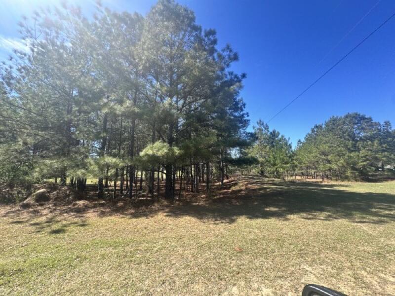 0 Santee Lumber Road Santee, SC 29142 - Photo 4 of 11 04_beyc69f90b9b306e9