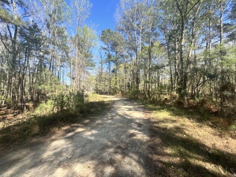 0 Santee Lumber Road Santee, SC 29142 - Photo 7 of 11 07_beyc69f90ba08e5cb