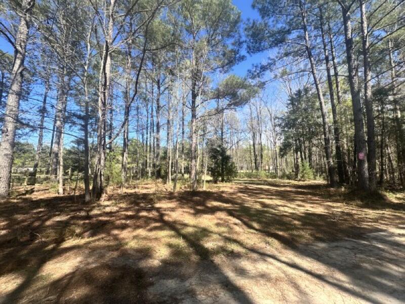 0 Santee Lumber Road Santee, SC 29142 - Photo 9 of 11 09_beyc69f90bb3b38e0