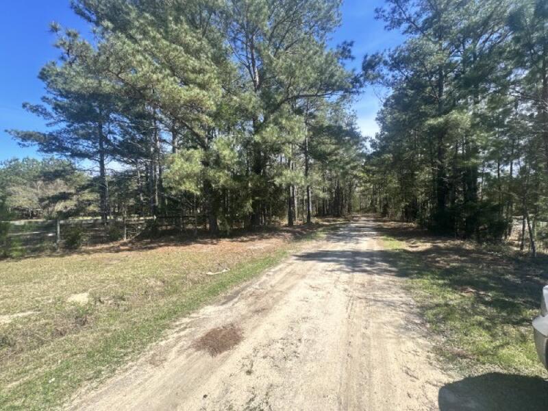 0 Santee Lumber Road Santee, SC 29142 - Photo 10 of 11 10_beyc69f90bb83587c