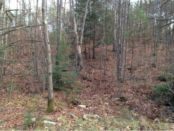 Lot 1 Stockbridge Corner Road Alton, NH 03809 - Photo 1 of 5