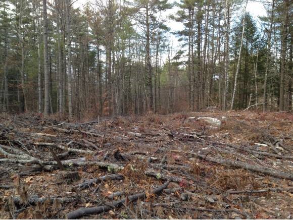 Lot 1 Stockbridge Corner Road Alton, NH 03809 - Photo 2 of 5