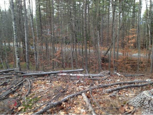 Lot 1 Stockbridge Corner Road Alton, NH 03809 - Photo 3 of 5